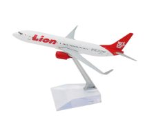 LION AIR B737